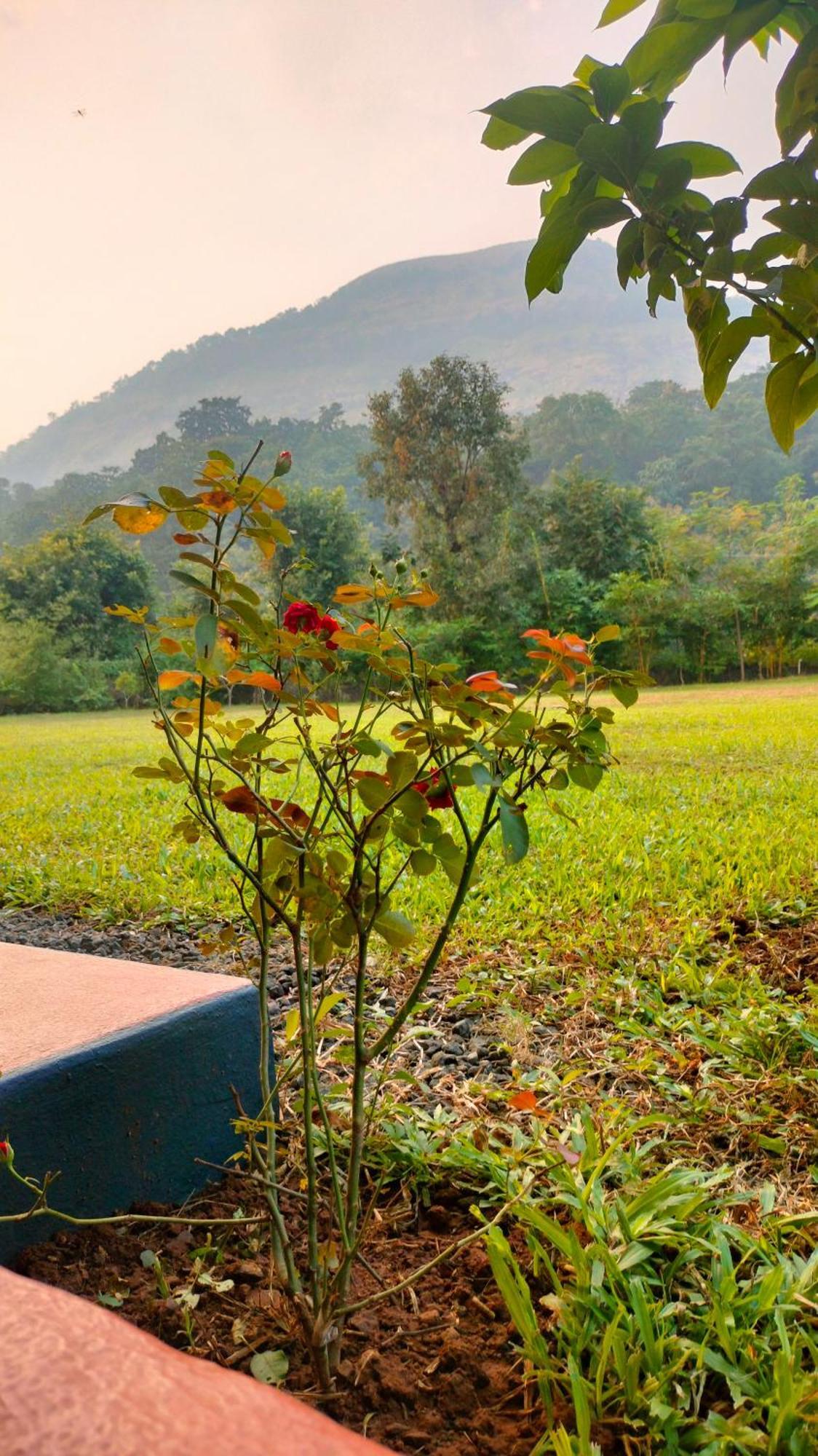 Vila King'S Landing Karjat Exteriér fotografie
